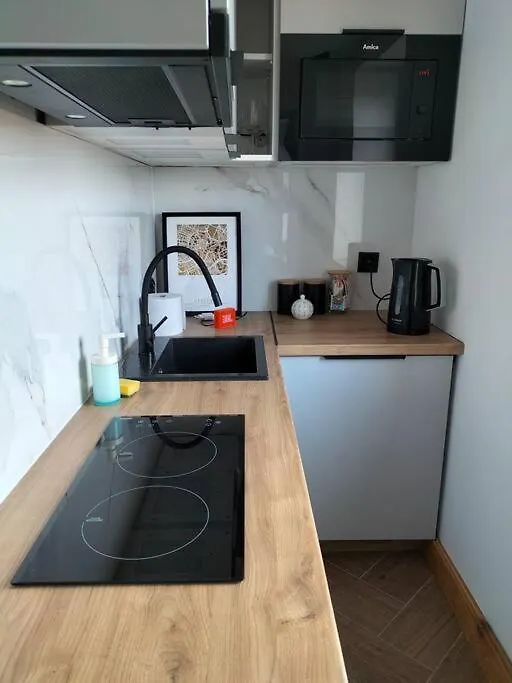 Apartamento Uroczy Apartament W Centrum Krakowa